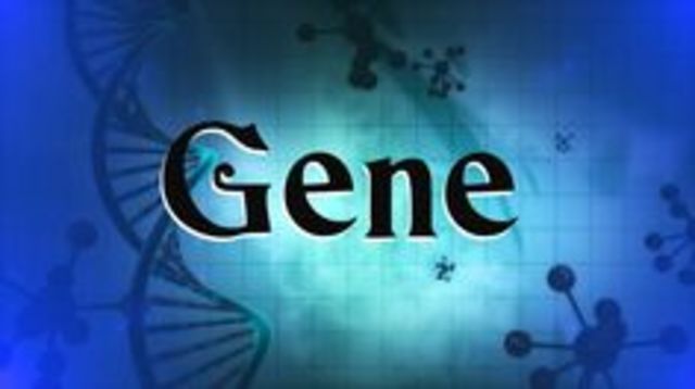 The Word Gene Coined