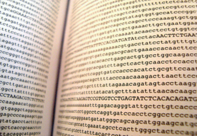 First Draft of the Human Genome Sequence Released