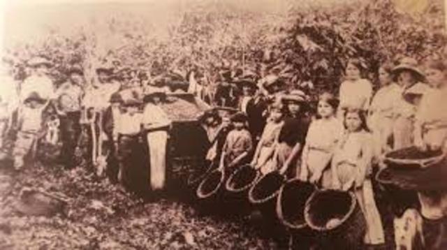 Organización de la sociedad