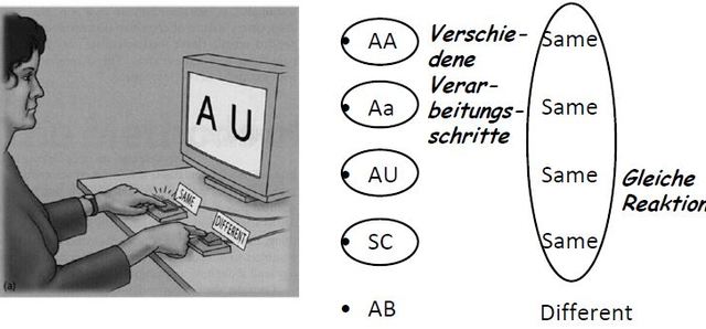 Kategorisierungsexperiment, Posner