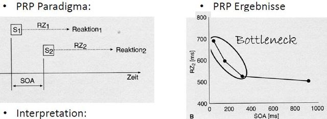 Paradigma der psychologischen Refraktärperiode (PRP), Welford