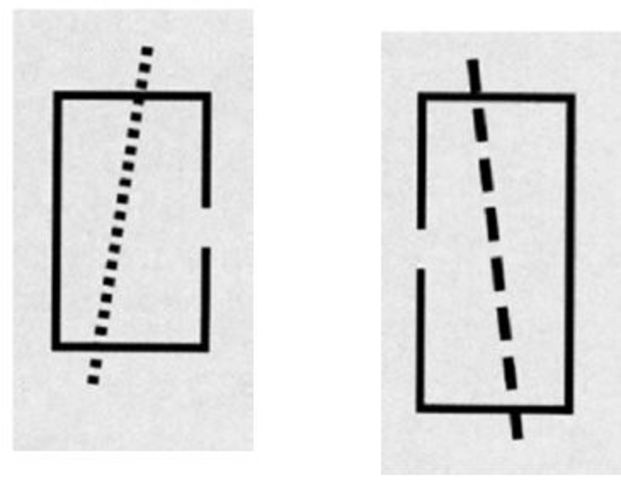 Objektbasierte Aufmerksamkeit, Duncan