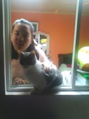 la llegada de mi primo gatuno