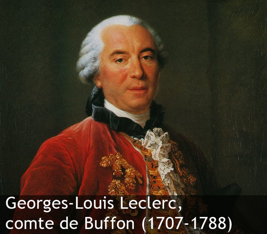 Buffon (1755)