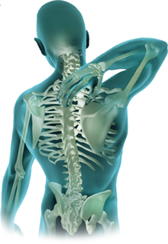 Funcionamento da Fisioterapia