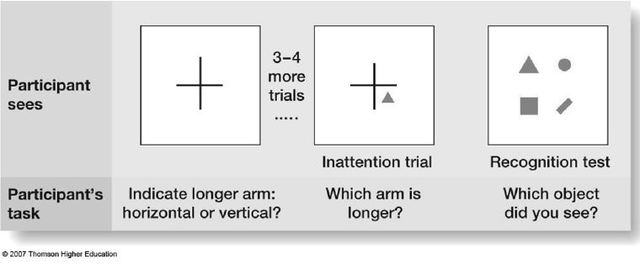 Inattentional Blindness, Mack + Rock
