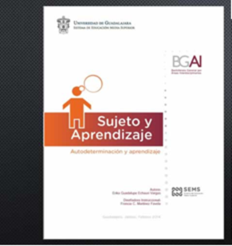 ANTES DE CADA UAI EL ASESOR ...