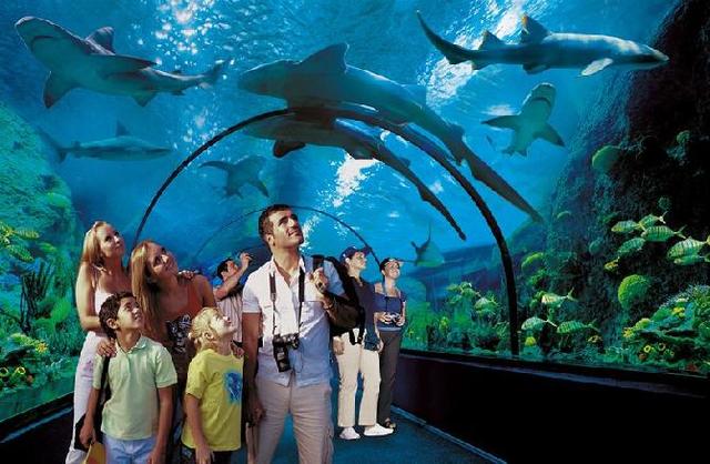 Salidas pedagógicas en los colegios