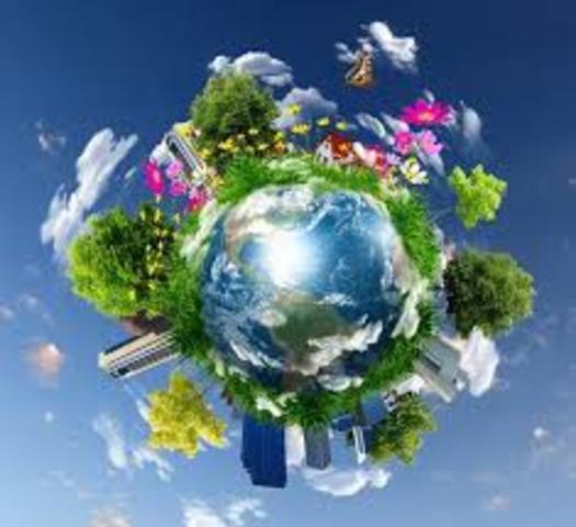 24 empresas afiliadas