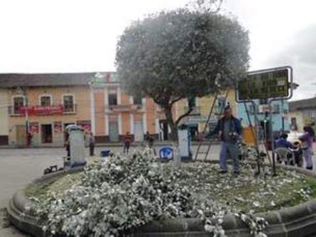 Salir a pasear al centro de la ciudad