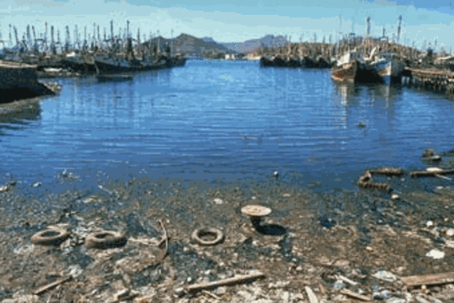 LA CONTAMINACIÓN DEL AGUA 1960