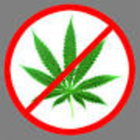 The Push Against Marijuana