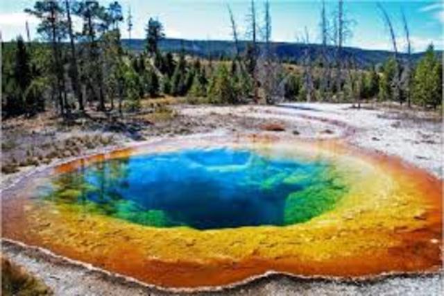 Primer parque nacional y del mundo: Yellowstone