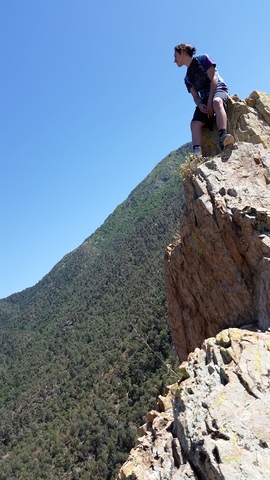 Dreaming starts occurring worldwide