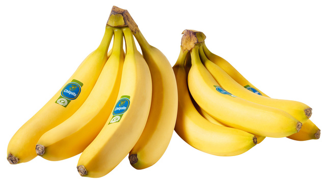 CUIDANDO EL MEDIO AMBIENTE APIB