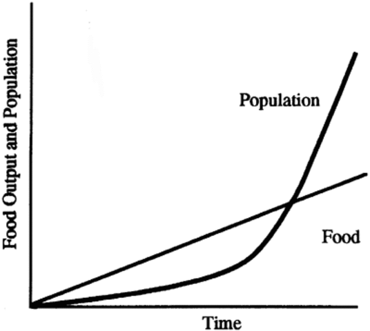 Population Studies