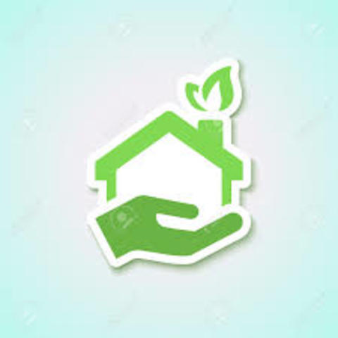 Cuando se inicio la ecolgia