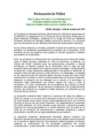 DECLARACIÒN DE TBILISI GEORGIA