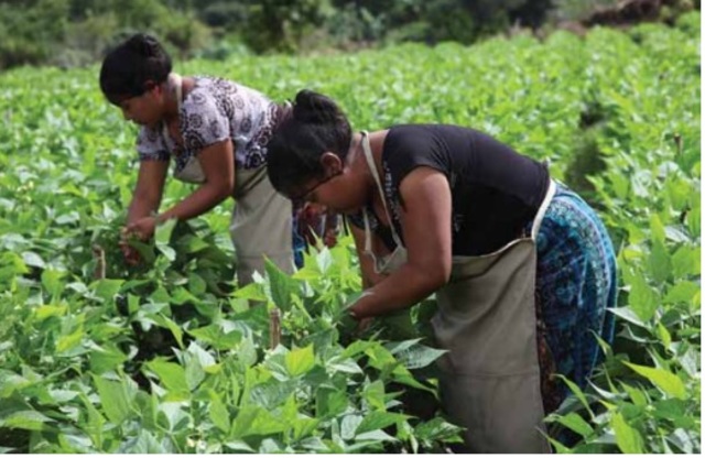 Historia del RSE en Guatemala