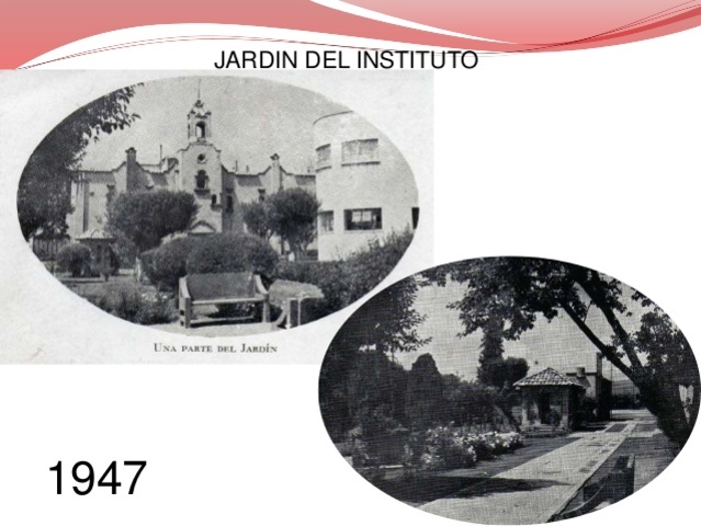 Creacion instituto de psicologia