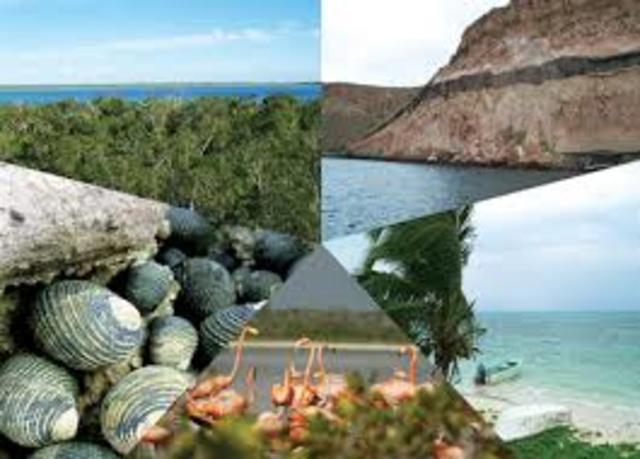 SECRETARÍA DE MEDIO AMBIENTE, RECURSOS NATURALES Y PESCA (SEMARNAP)