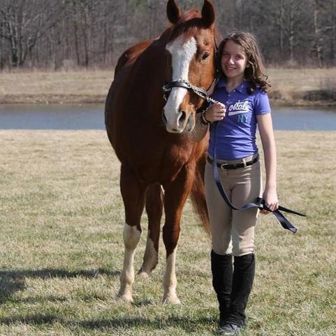 Havencrest closed down