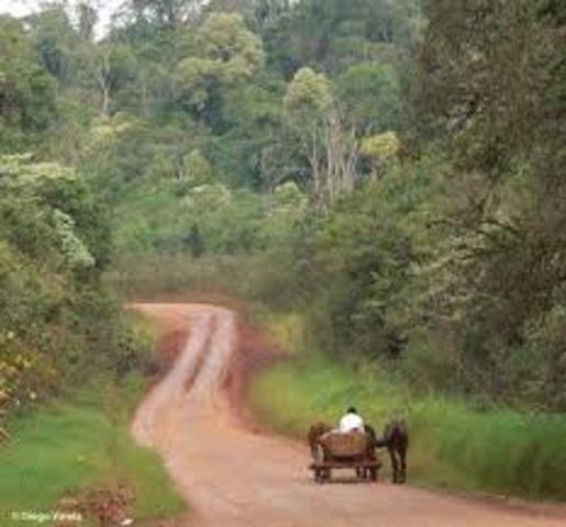 ¿Cuando se inicio la Ecología?