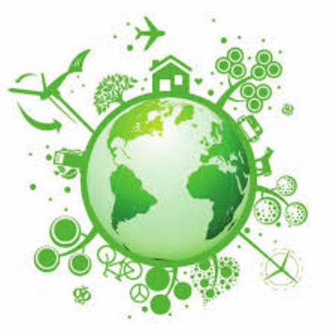 ¿Cuando se divulgo la Ecología?