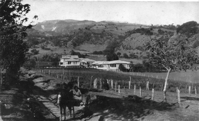 Decreto de Construccion