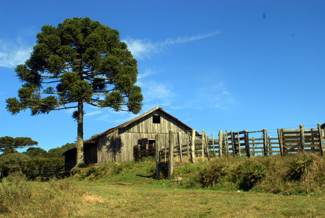 Ereda La Granja De Sus Padres