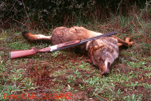 Atenora Y SU Hermana Mueren