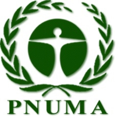 PNUMA, Programa de Naciones Unidas para el Medio Ambiente