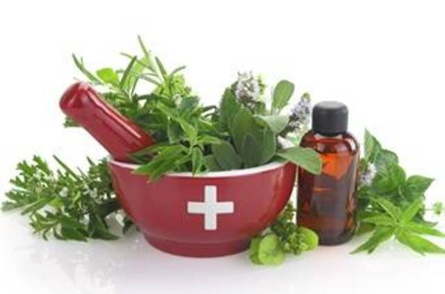 Edad de piedra, paleolítico