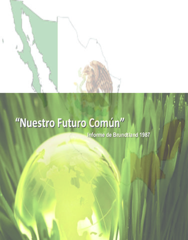 Informe Brundtland de 1987