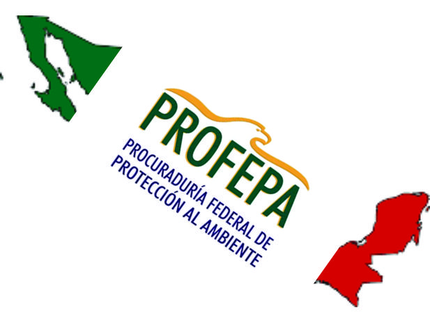 Ley General del Equilibrio Ecológico y la Protección al Ambiente (LGEEPA)