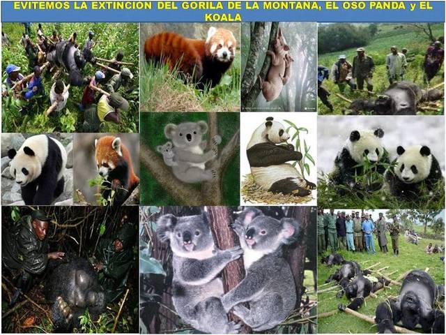 Convención para la Preservación de los Animales Silvestres, Pájaros y Peces del África.