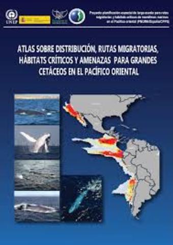Convención Internacional Para la Regulación de la Caza de las Ballenas