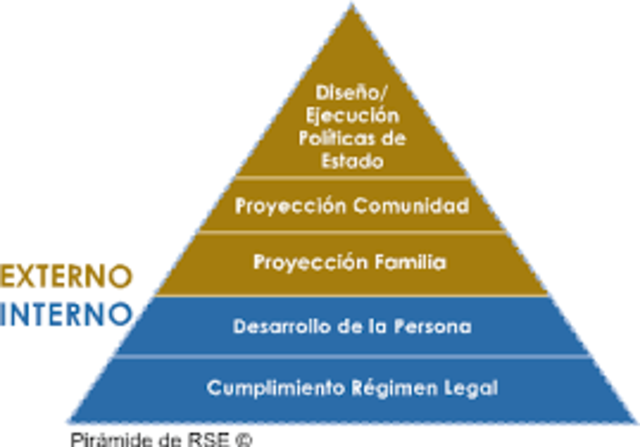 Desarrollo y continuidad del proyecto