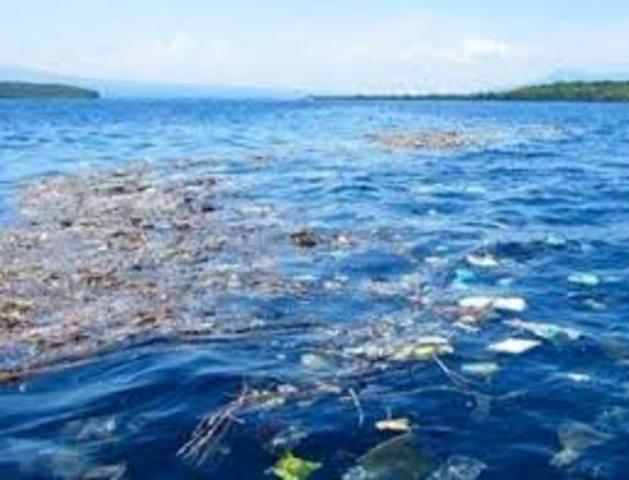 Convención sobre la Prevención de la Contaminación Marina por vertientes de desechos y otros elementos.