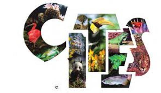 La Comisión Mundial del Medio Ambiente y Desarrollo “Comisión Brundtland”