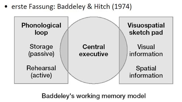 Arbeitsgedächtnis, Baddeley + Hitch