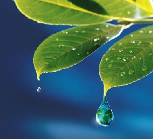 Ecologistas y ecólogos