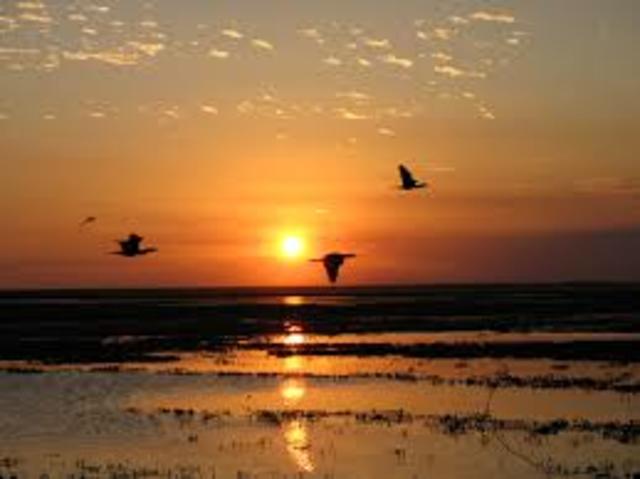 UN VIAJE A LOS LLANOS