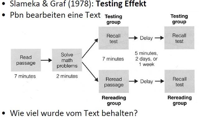 Testing Effekt, Graf + Slamenka