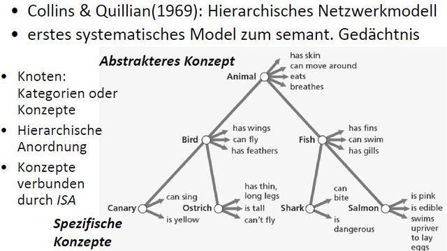 Hierachisches Netzwerkmodell, Collins + Quillian