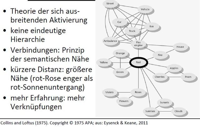 Theorie der sich ausbreitenden Aktivierung, Collins + Luftus