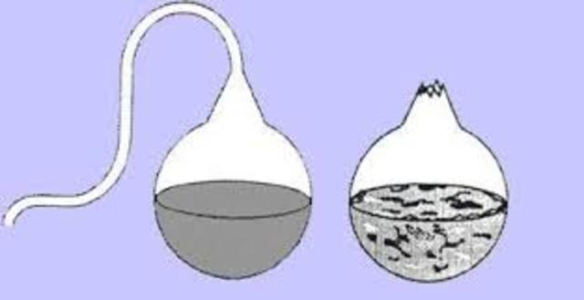 A favor de la Teoría biogenica