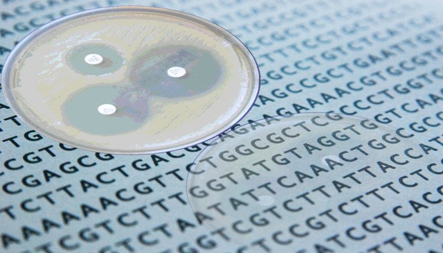 Más de 100 genomas bacterianos secuenciados