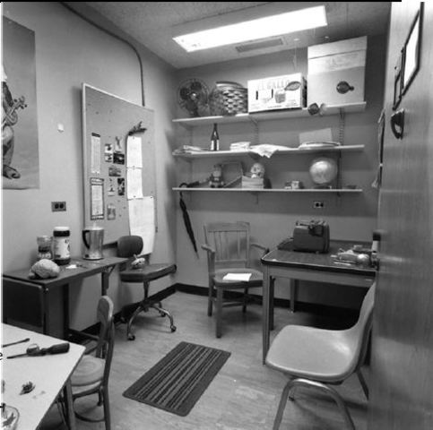 Beeinflussung durch Schemata, Brewer + Tryens