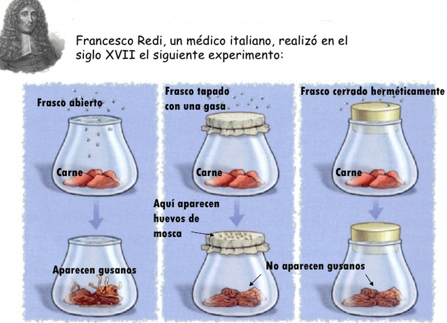Debate sobre la teoría de la generación espontanea